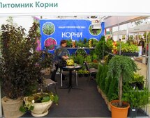 10 �������� �����