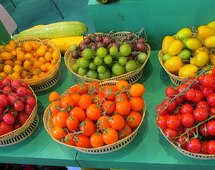 27 ������������ ������ �� ��������� �����